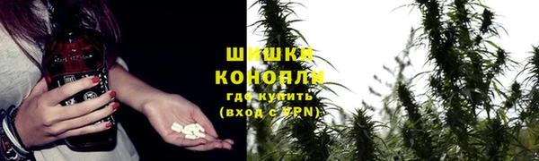 марки lsd Белокуриха