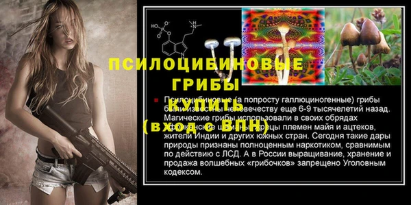 гидропоника Белоозёрский