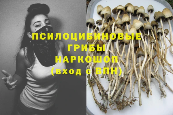 марки lsd Белокуриха