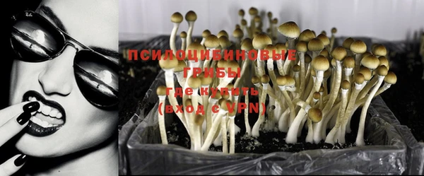 гидропоника Белоозёрский