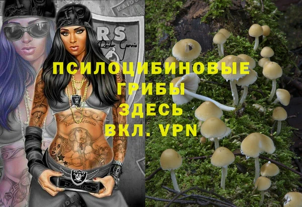 марки lsd Белокуриха