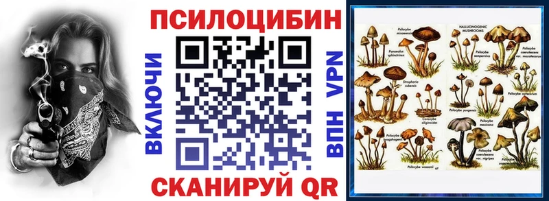 omg tor  что такое наркотик  Высоковск  Псилоцибиновые грибы GOLDEN TEACHER 